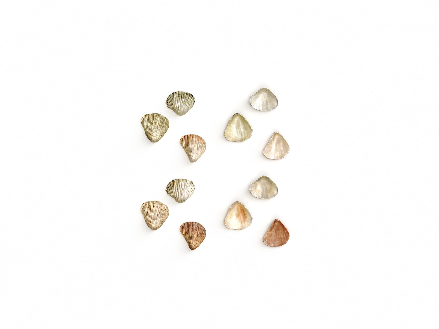 Sea Shell Set - Nouvelle Mesure Lab