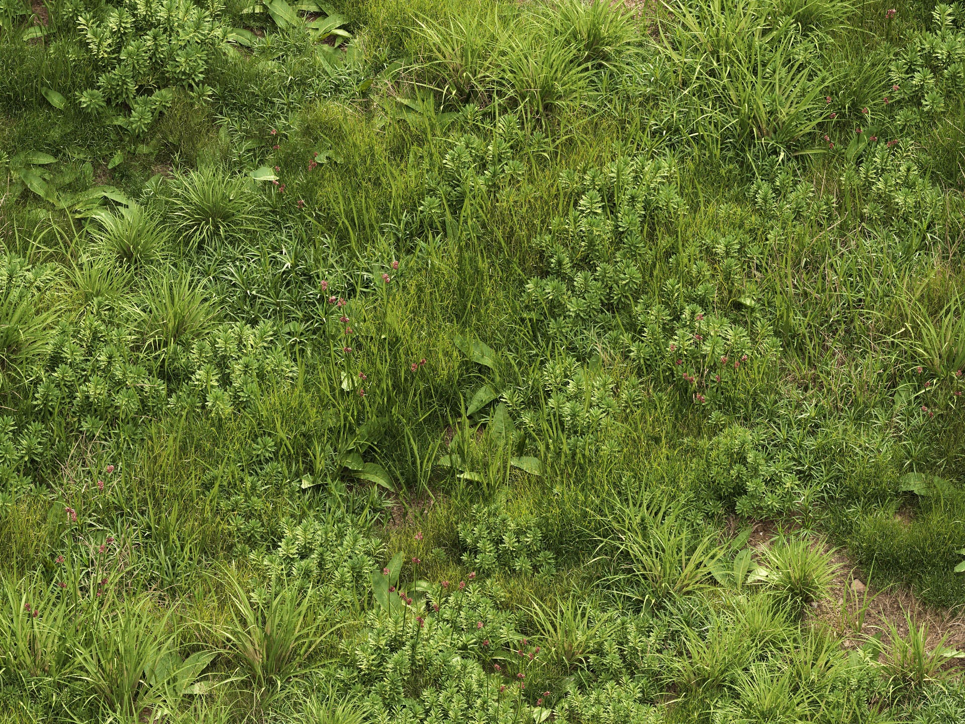 GR09 NMLab System™