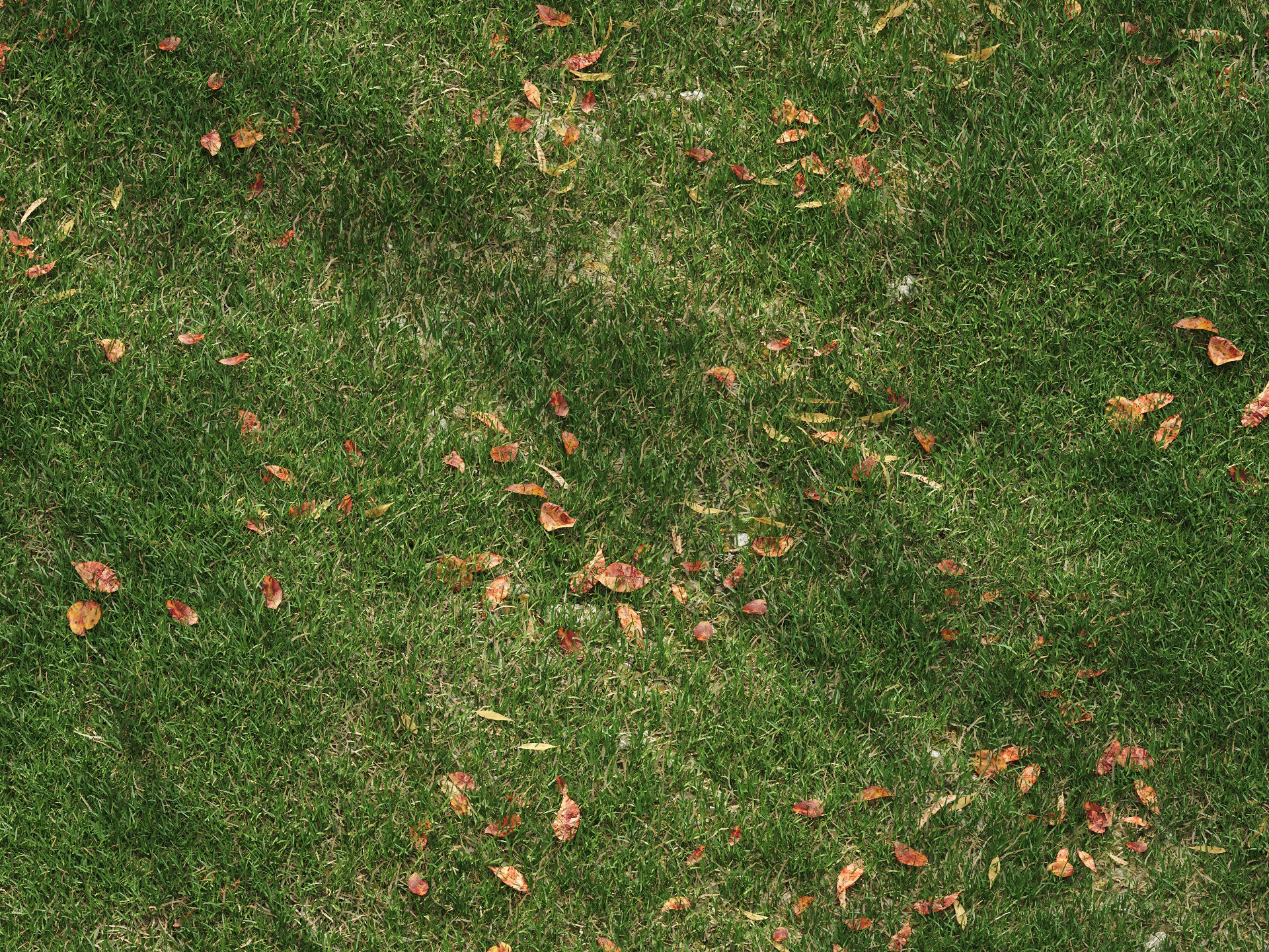 3d realistic grass