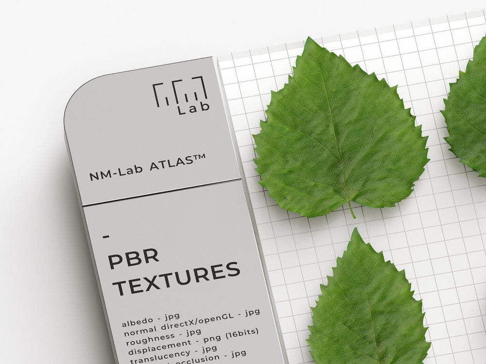 Leaves PBR Textures