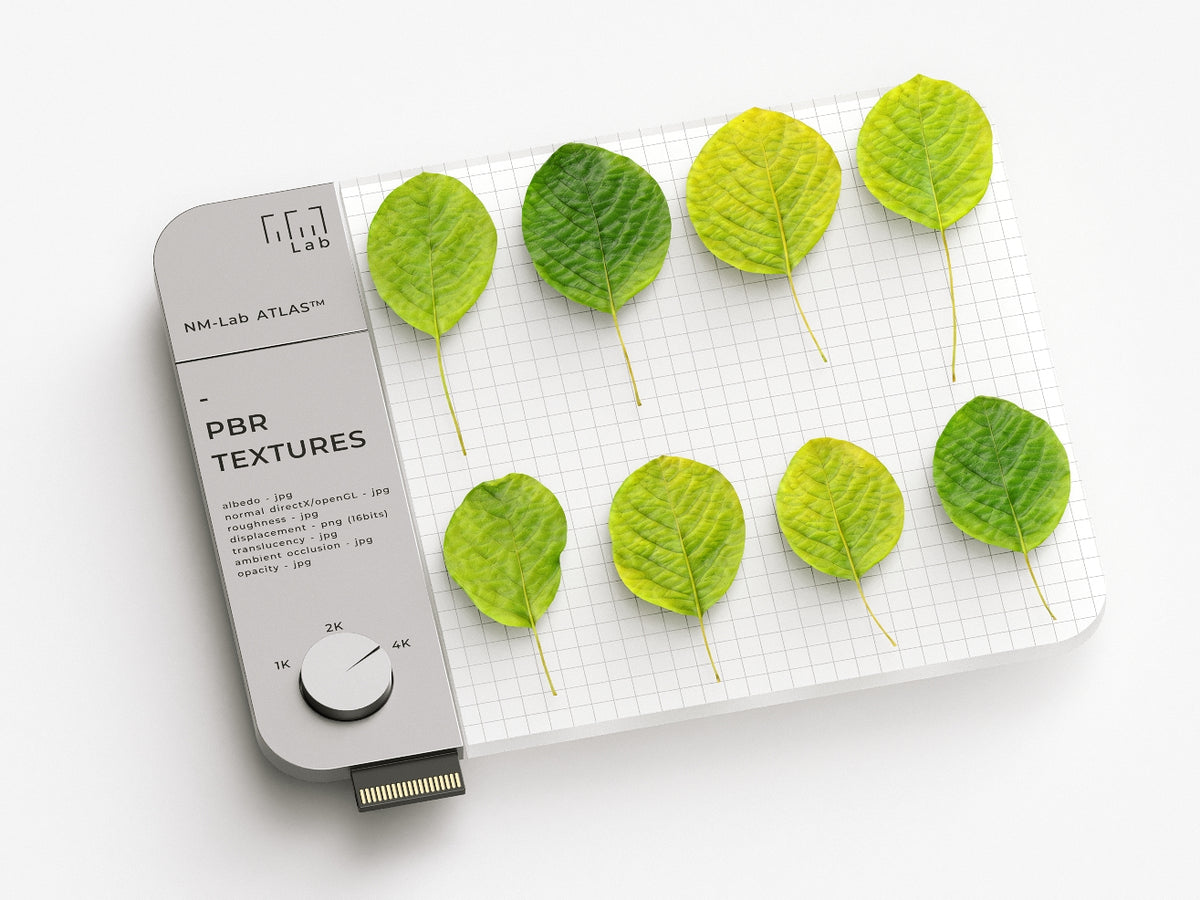 Leaves PBR Textures