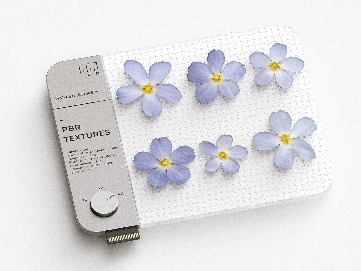 Flowers 660 18A1 - Nouvelle Mesure Lab