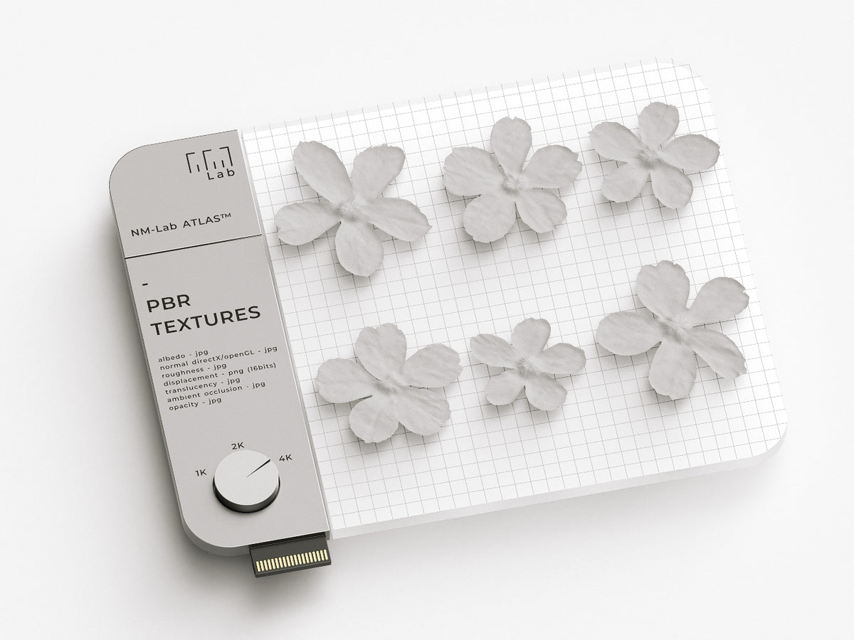 Flowers 660 18A1 - Nouvelle Mesure Lab