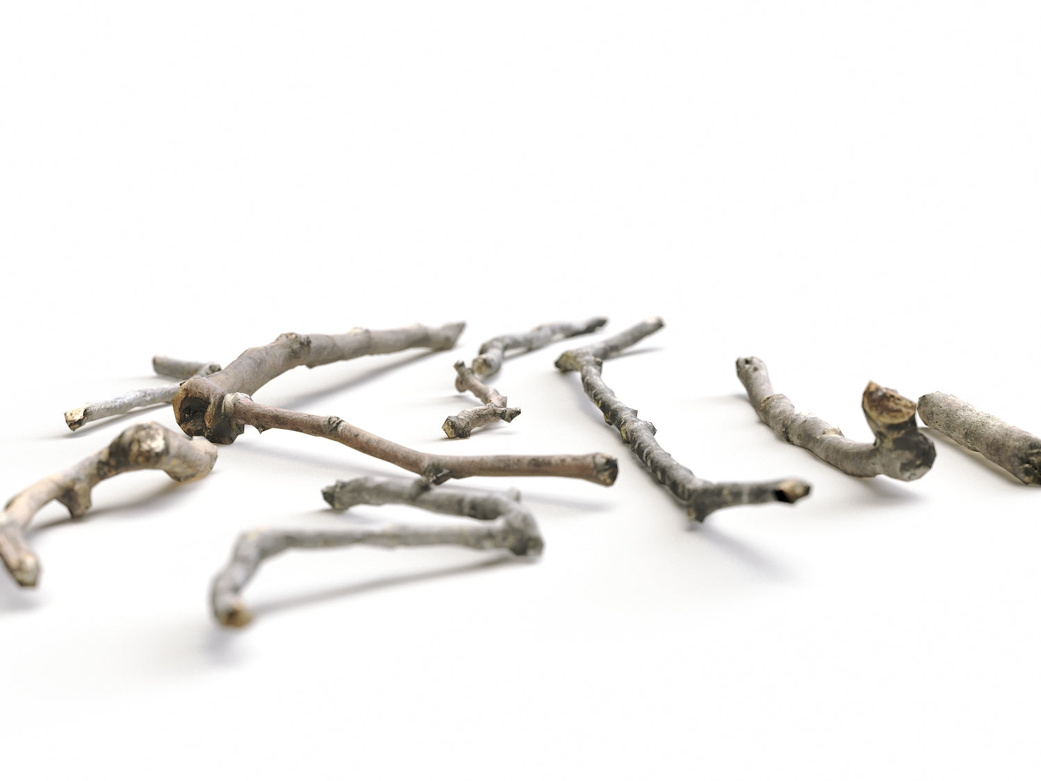 Branches Set 01 - Nouvelle Mesure Lab