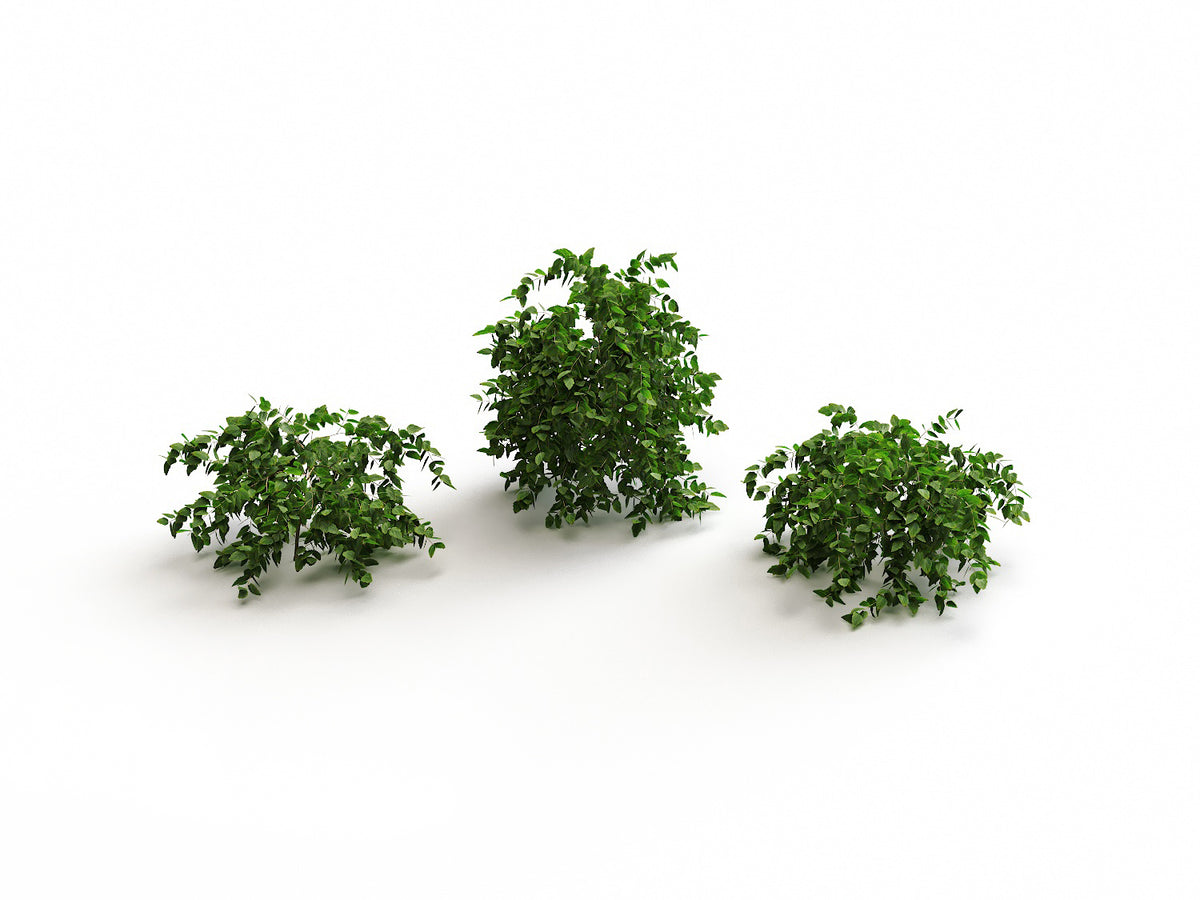 Bush Set 01