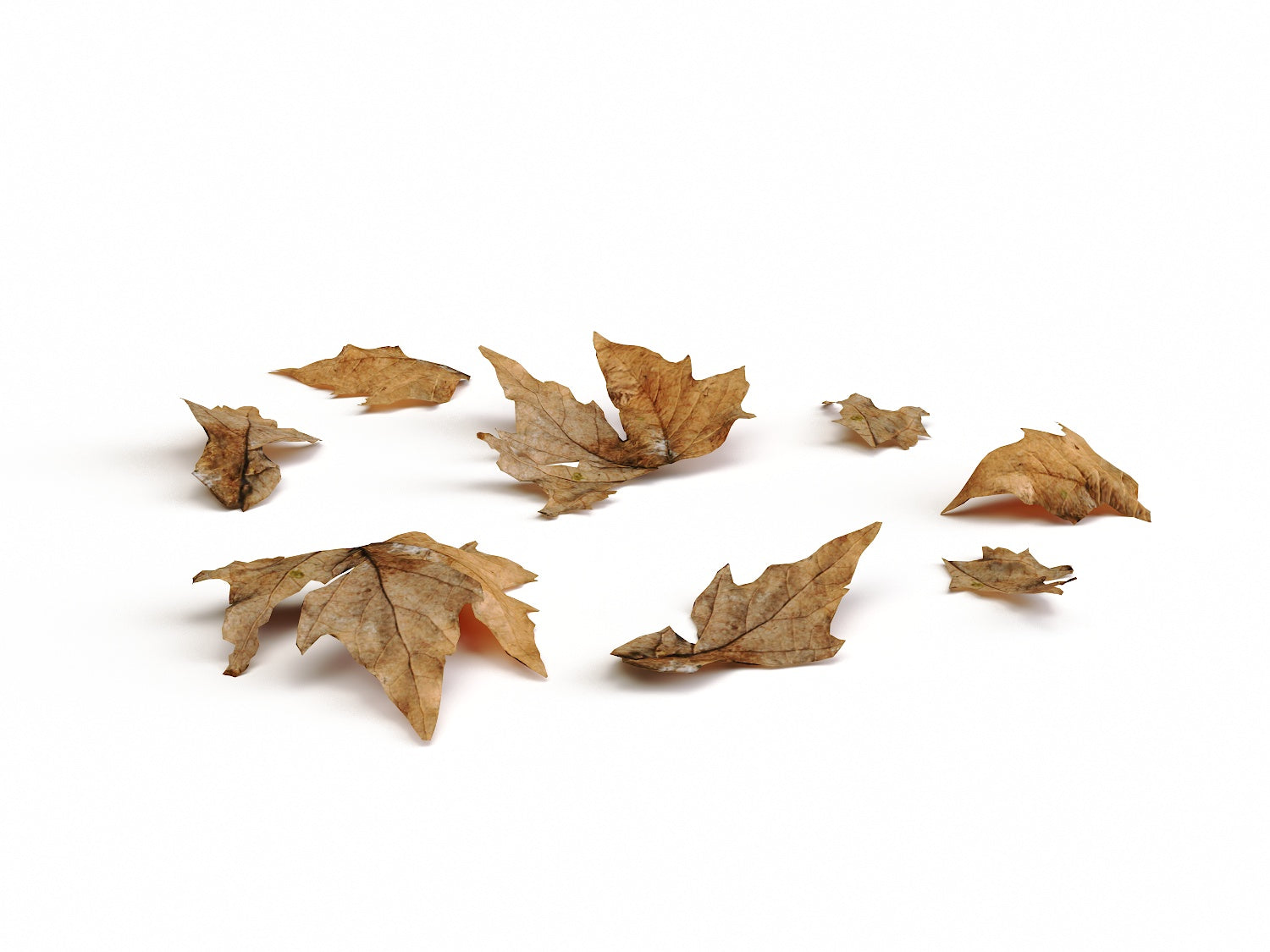 Dead Leaves Set 01 - Nouvelle Mesure Lab