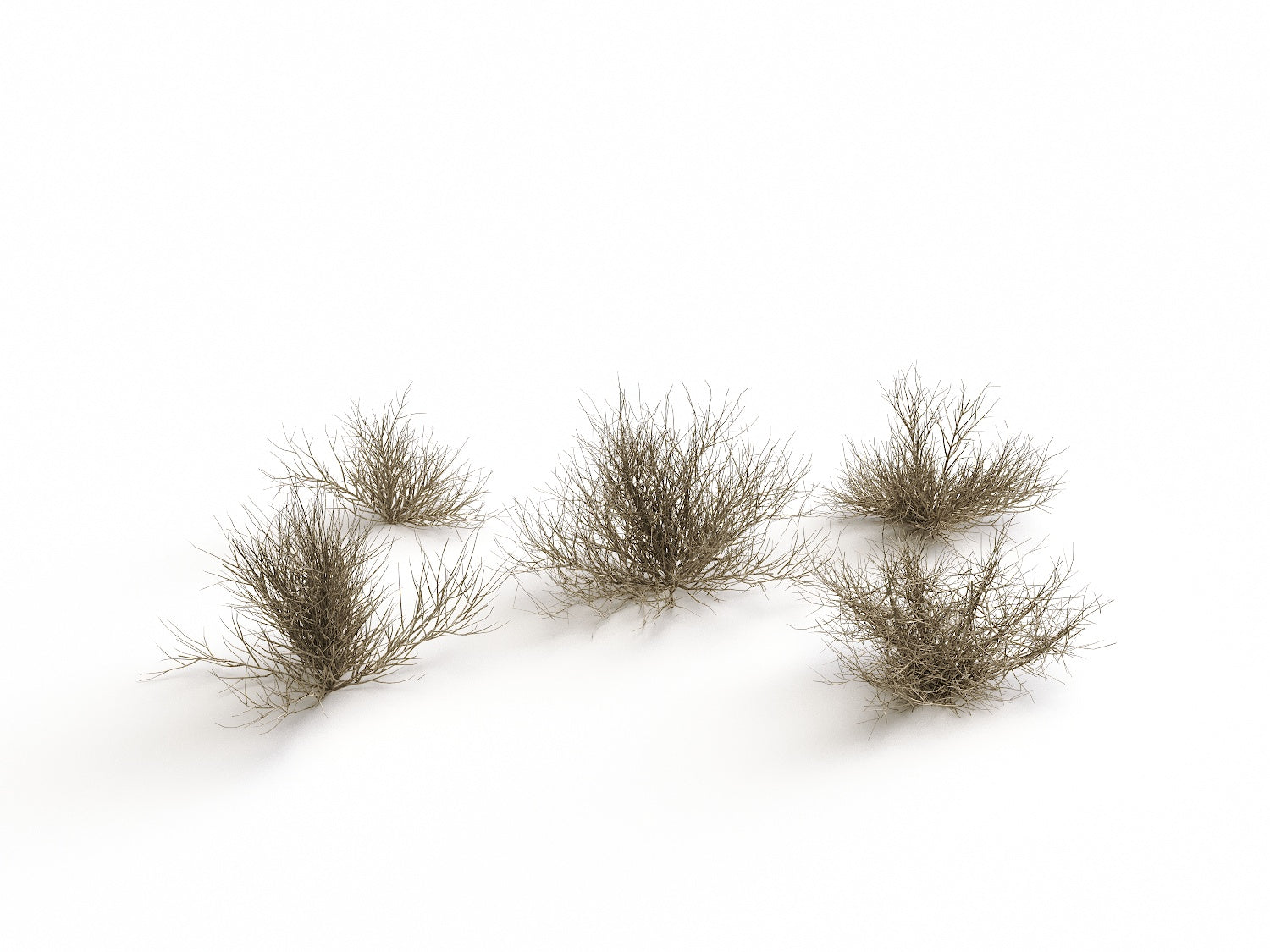 Desert Bush Set - Nouvelle Mesure Lab