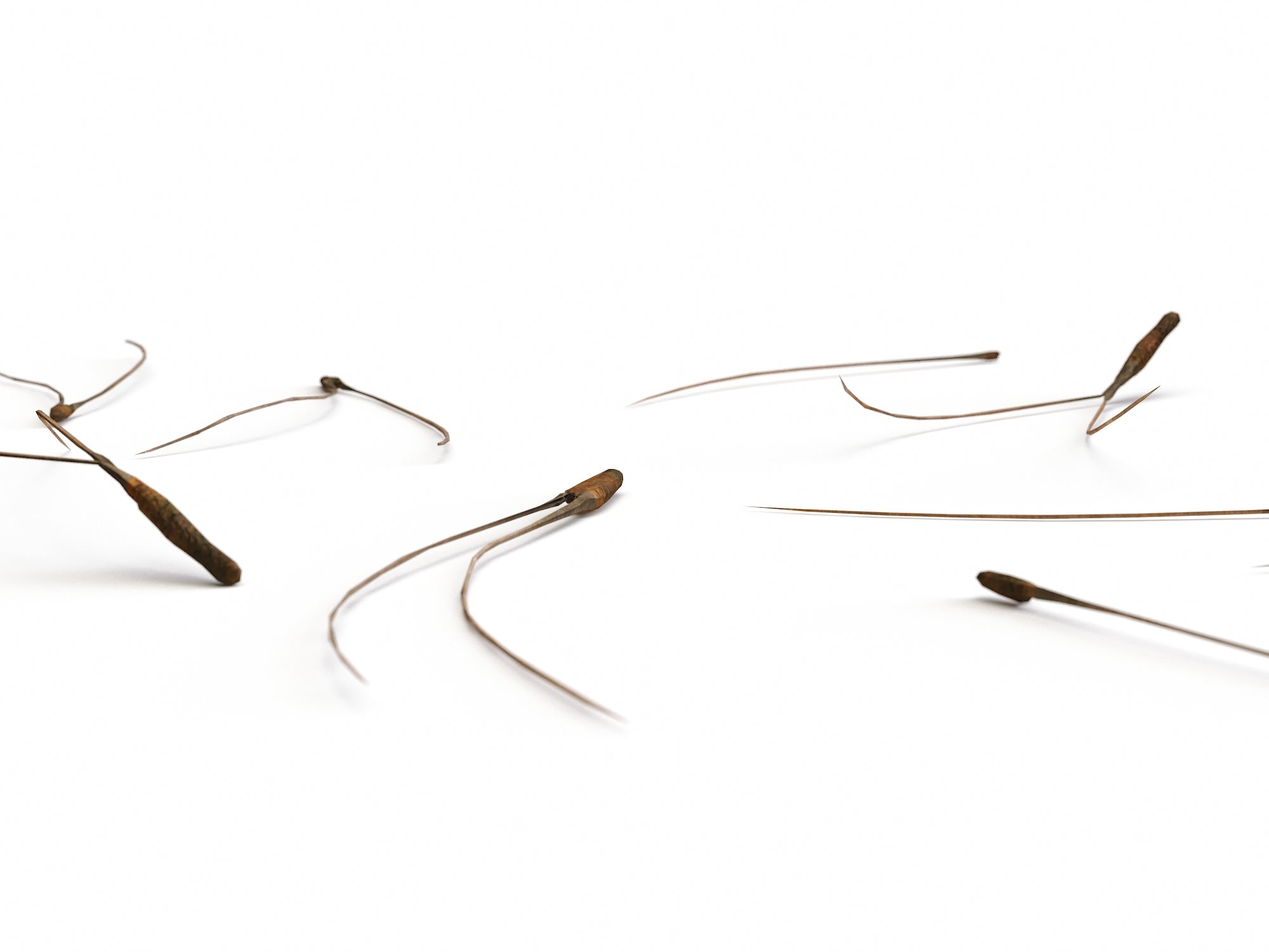 Pine Needles Set - Nouvelle Mesure Lab
